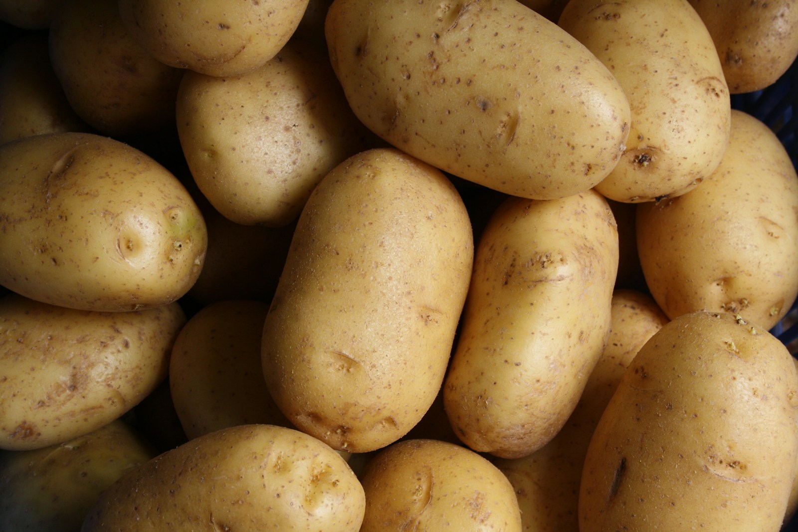Potato Starch